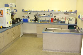 Lab Pharmacy Treatment Area